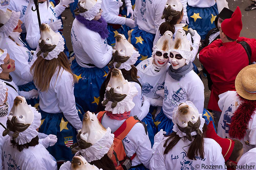 2014 - Photo 14